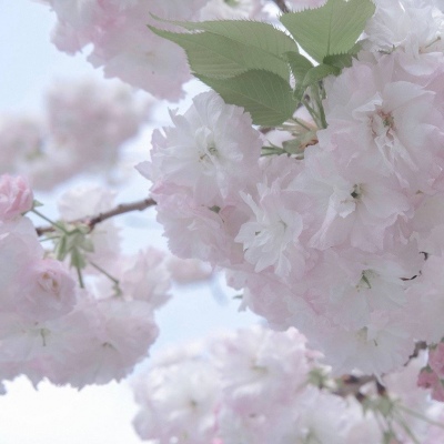 兽设节日场景创作兽圈社群